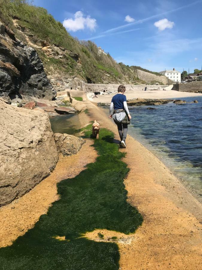 Starfish Cottage- Private Beach Access- Dog Friendly Charlestown  Exterior photo