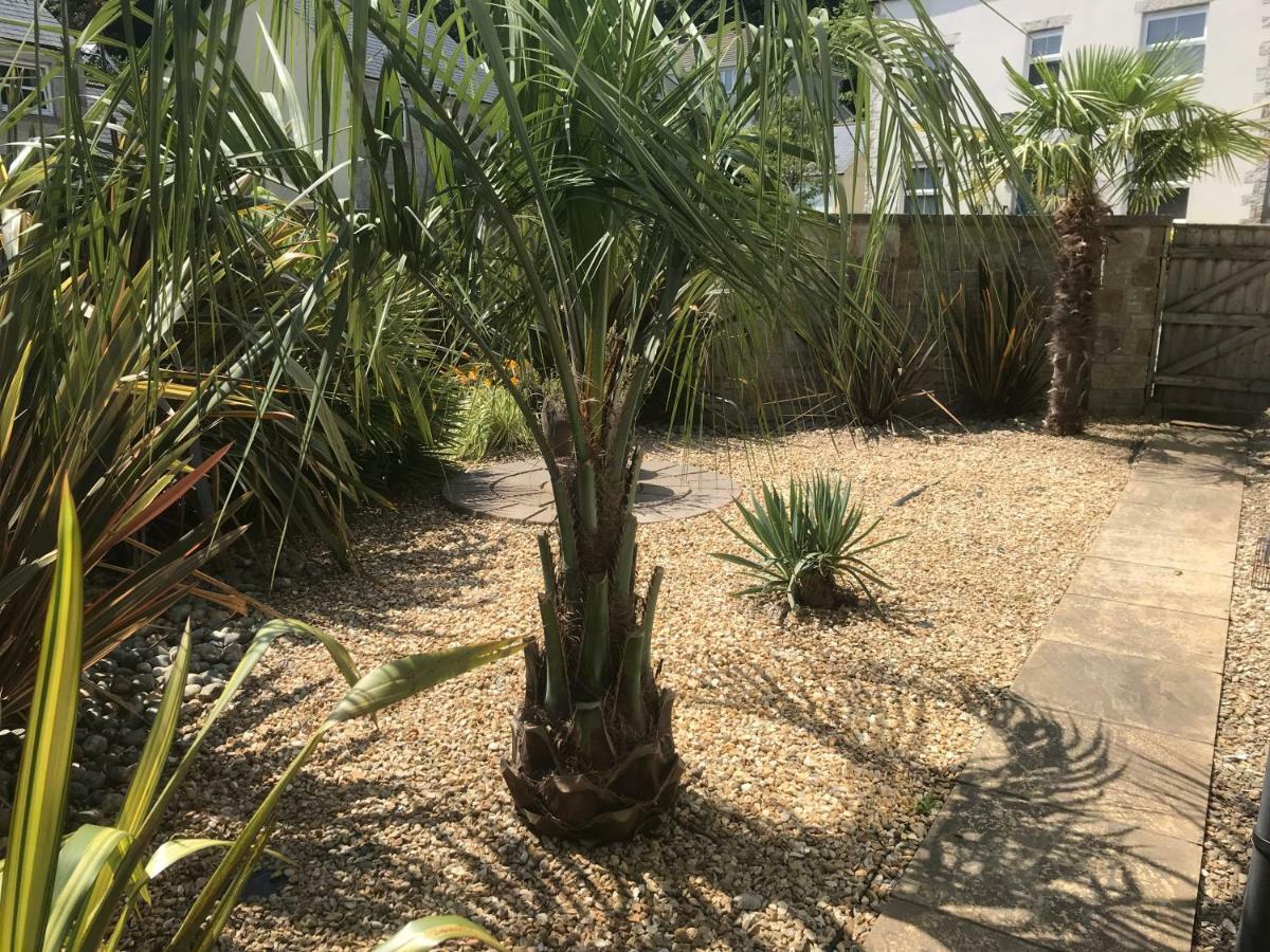 Starfish Cottage- Private Beach Access- Dog Friendly Charlestown  Exterior photo